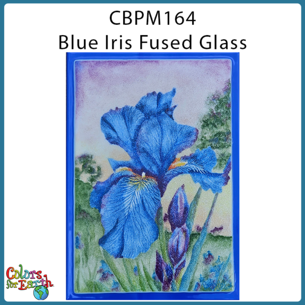 CBPM164 Blue Iris Fused Glass