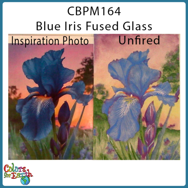 CBPM164 Blue Iris Fused Glass - Image 2