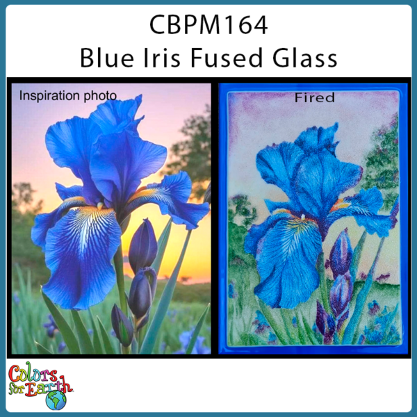 CBPM164 Blue Iris Fused Glass - Image 3