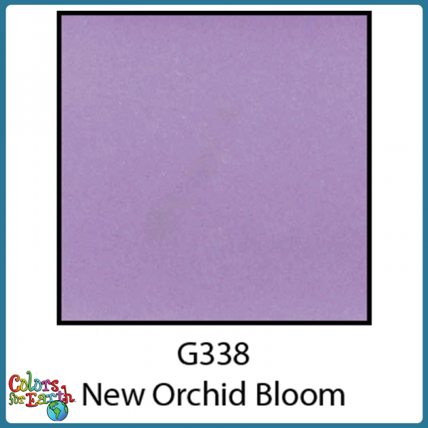 G338 Orchid Bloom