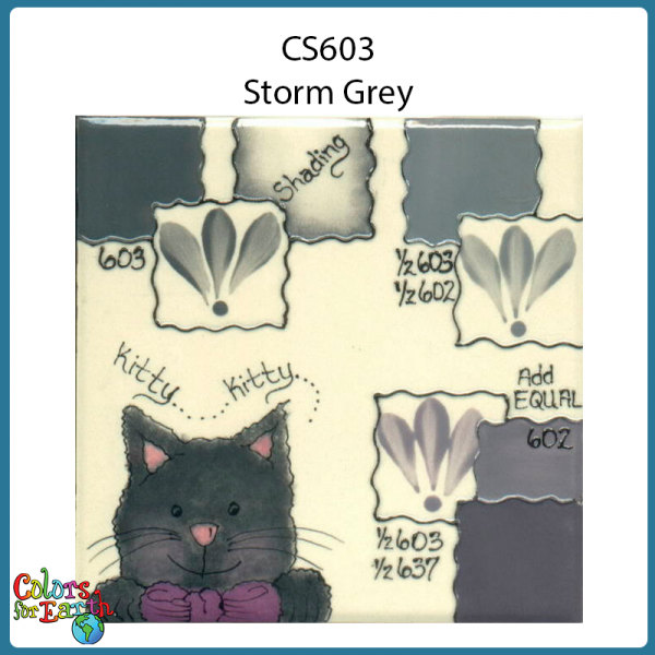 CS603 Storm Gray - Image 3
