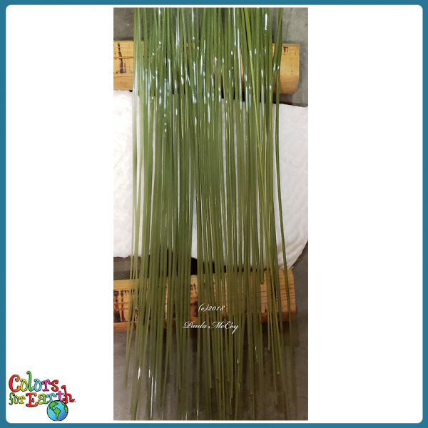 Green Meadow Murrini/Cane 96 COE - Image 3