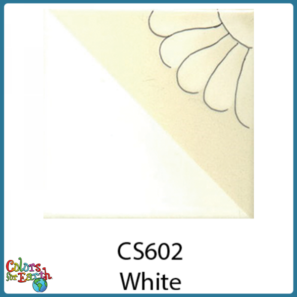 CS602 White