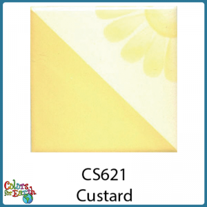 CS621 Custard