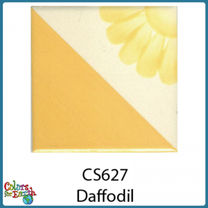 CS627 Daffodil