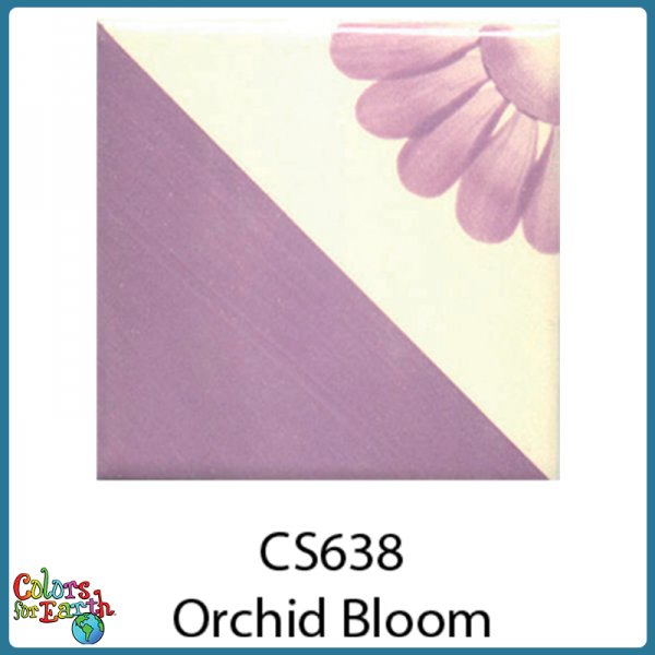 CS638 Orchid Bloom