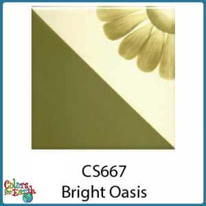 CS667 Bright Oasis