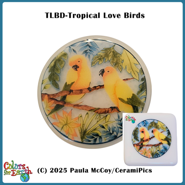 Tropical Birds - Waterslide Decals - Image 3
